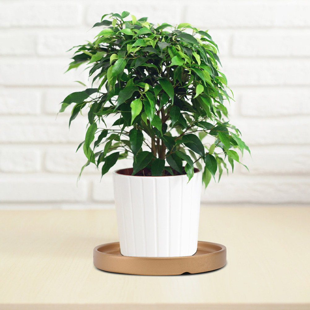 3 Buah Tatakan Pot Bunga Keram - Drip Tray Saucer ulasan dan harga